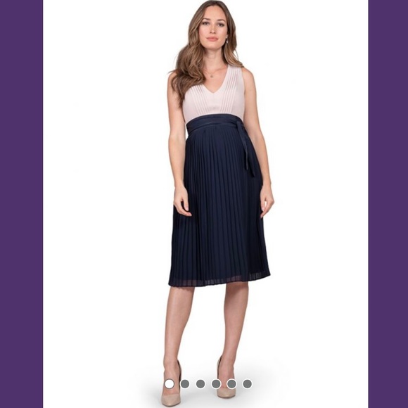 Seraphine Pleated Maternity/Nursing Dress - Picture 6 of 15